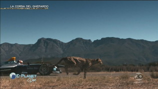 E-Planet Doc: La corsa del Ghepardo