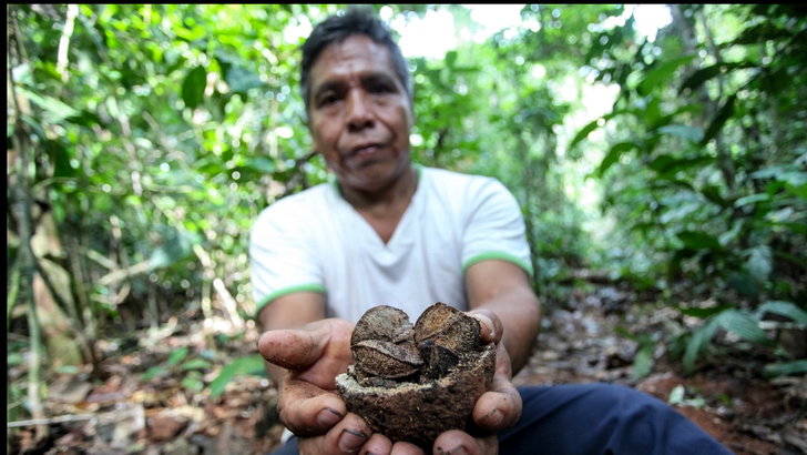 Correre per proteggere la foresta amazzonica