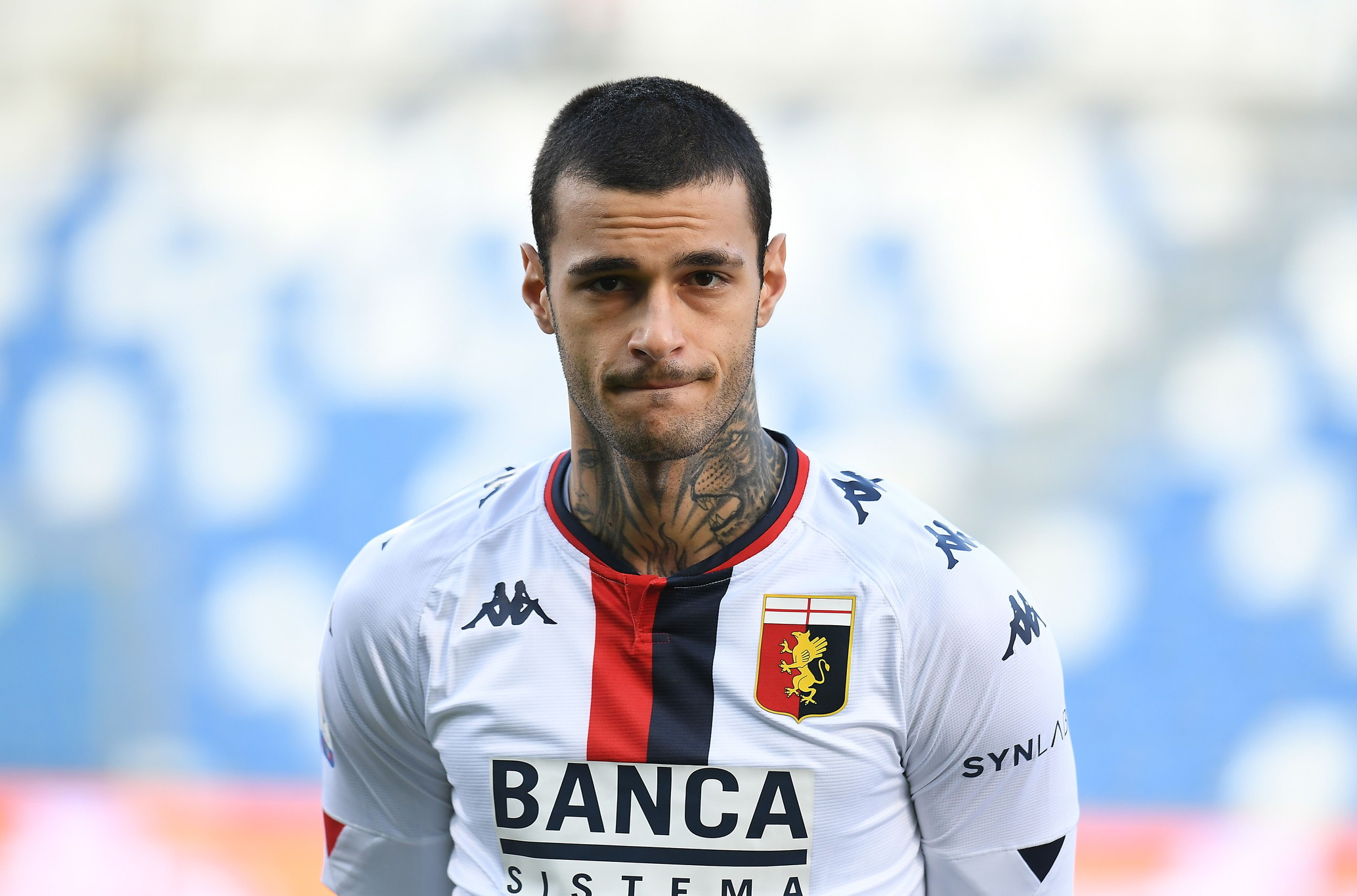 scamacca