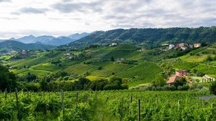 Moscato di Scanzo Trail, un... brindisi "running" di fine estate!