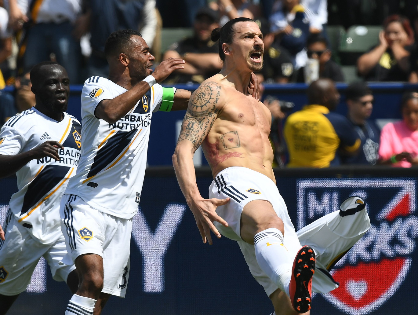 cole ibrahimovic