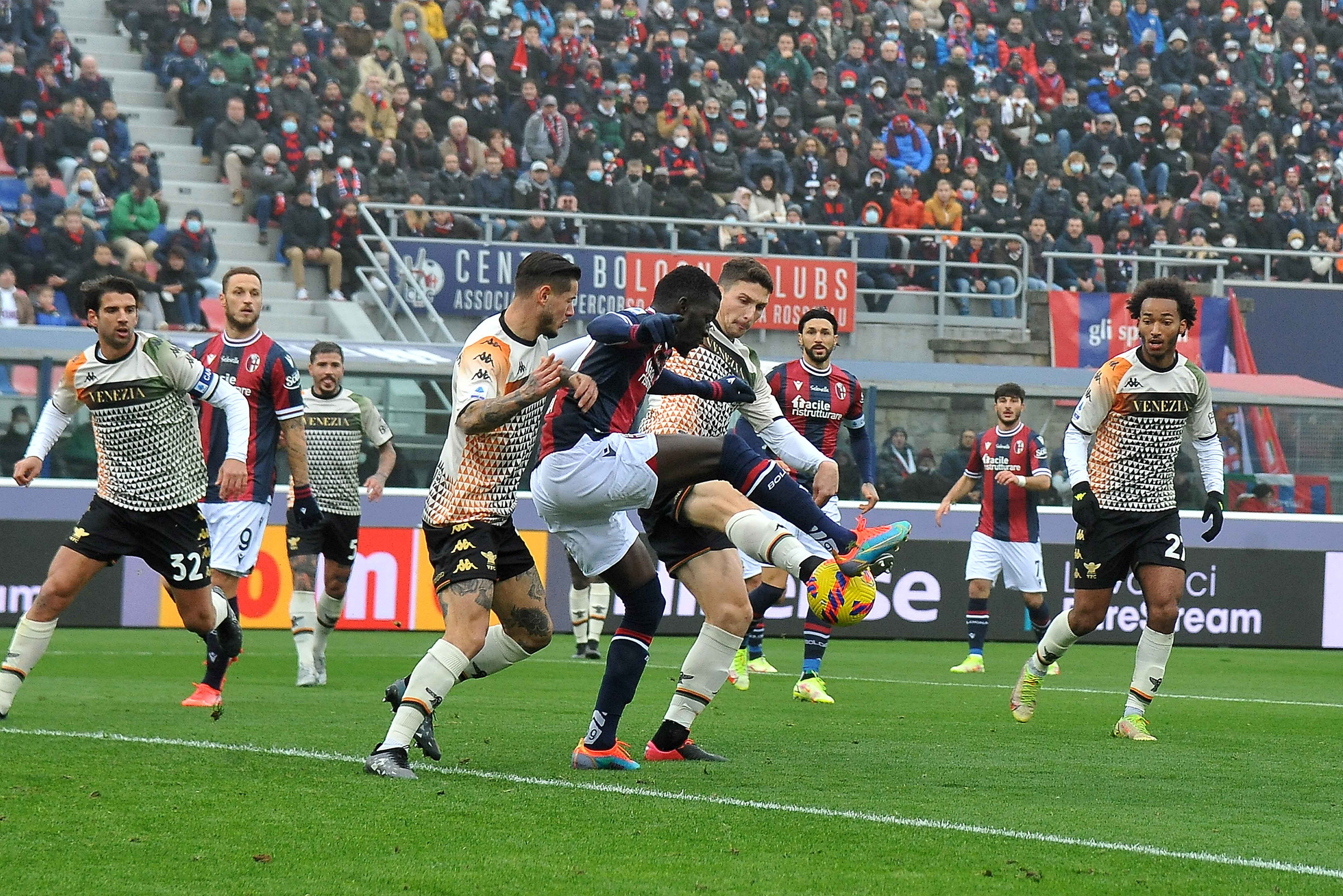 La fotogallery di Bologna-Venezia | Foto - Sportmediaset