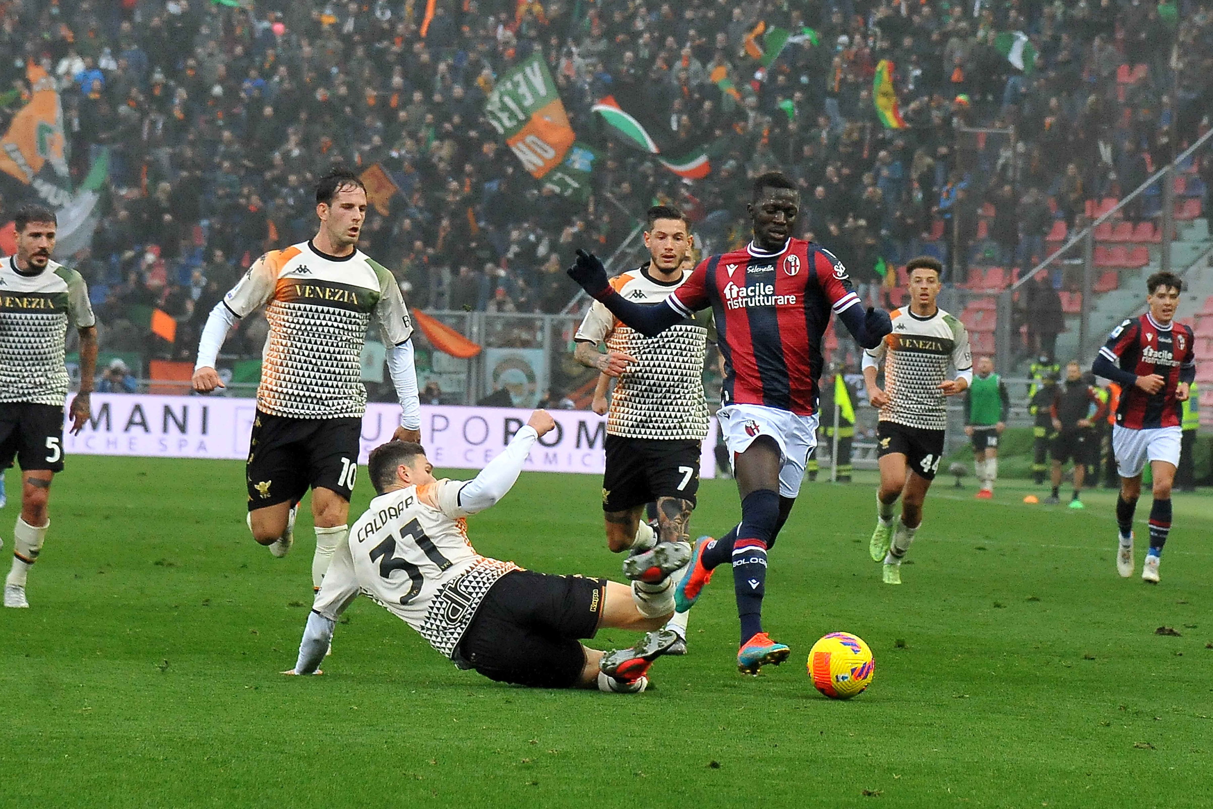 La fotogallery di Bologna-Venezia | Foto - Sportmediaset