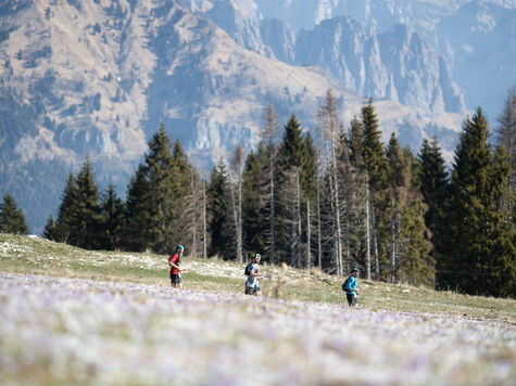 Dolomiti Beer Trail: via alle Golden Trail National Series Italy
&nbsp;