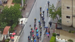 Evenepoel, che paura: cade per colpa di un cane, ma poi riparte