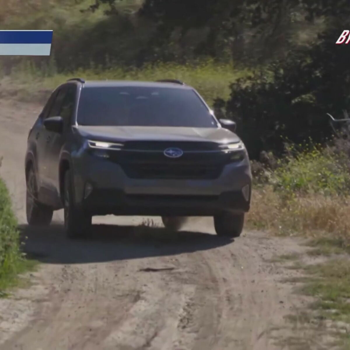 Nuova Subaru Forester