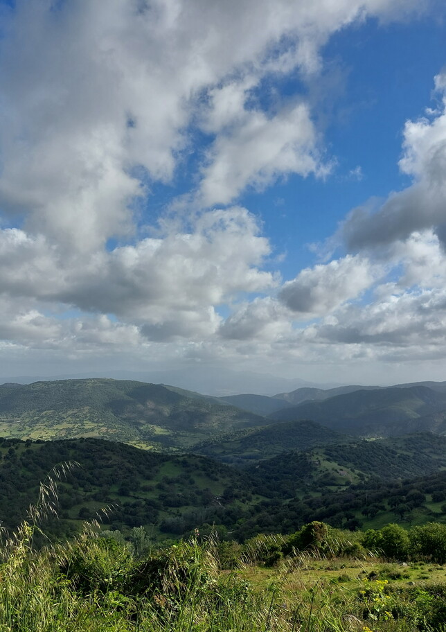 Pattada Wild Trail ma anche sky e... rally: le mille anime di una maratona di montagna