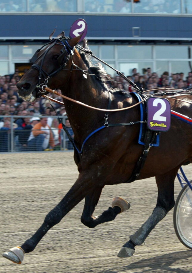 Addio a Varenne, la leggenda del trotto stroncata da un infarto