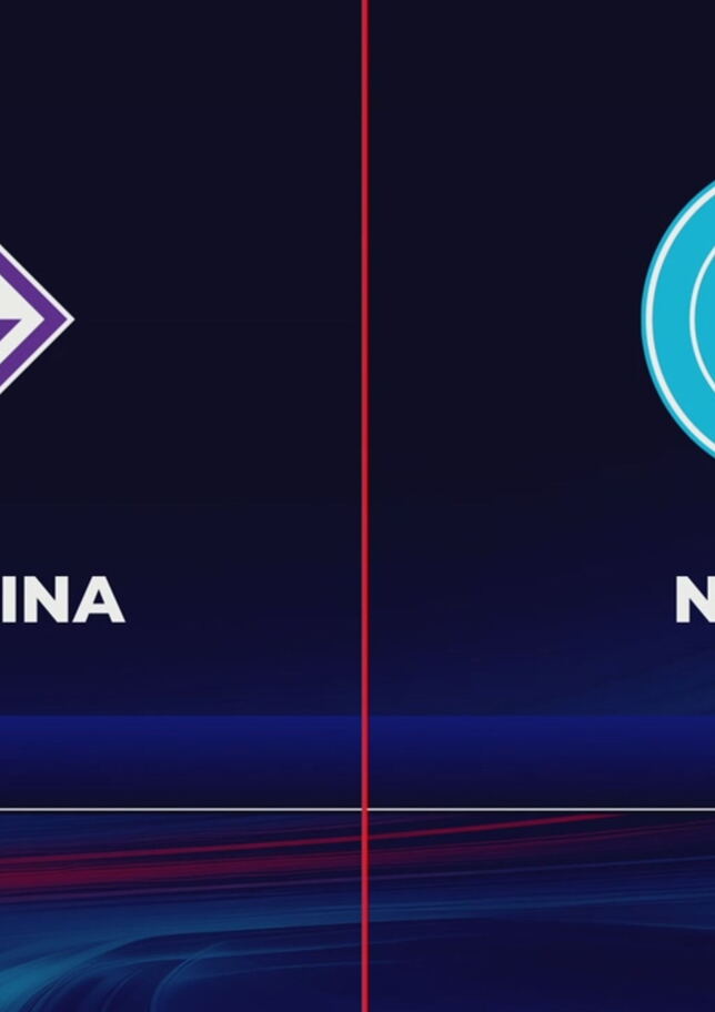 Fiorentina-Napoli 1-1: gli highlights