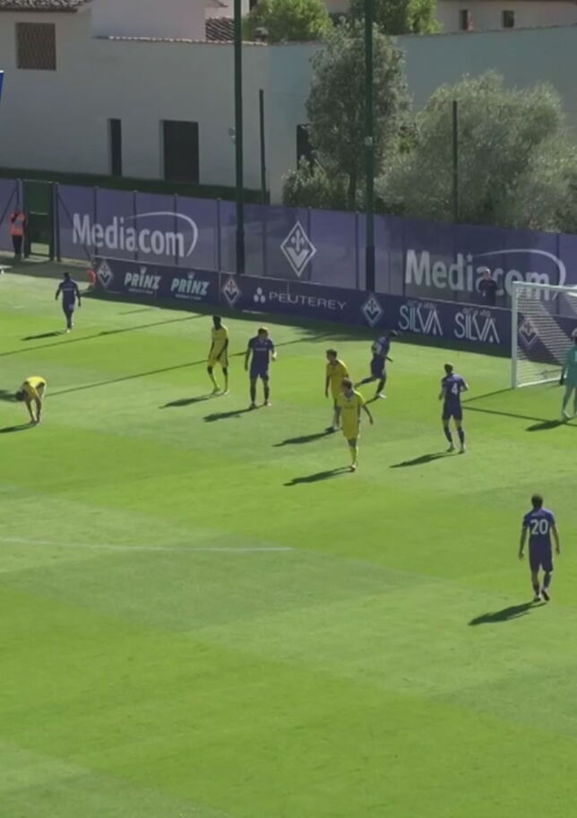 Fiorentina-Signa 9-0