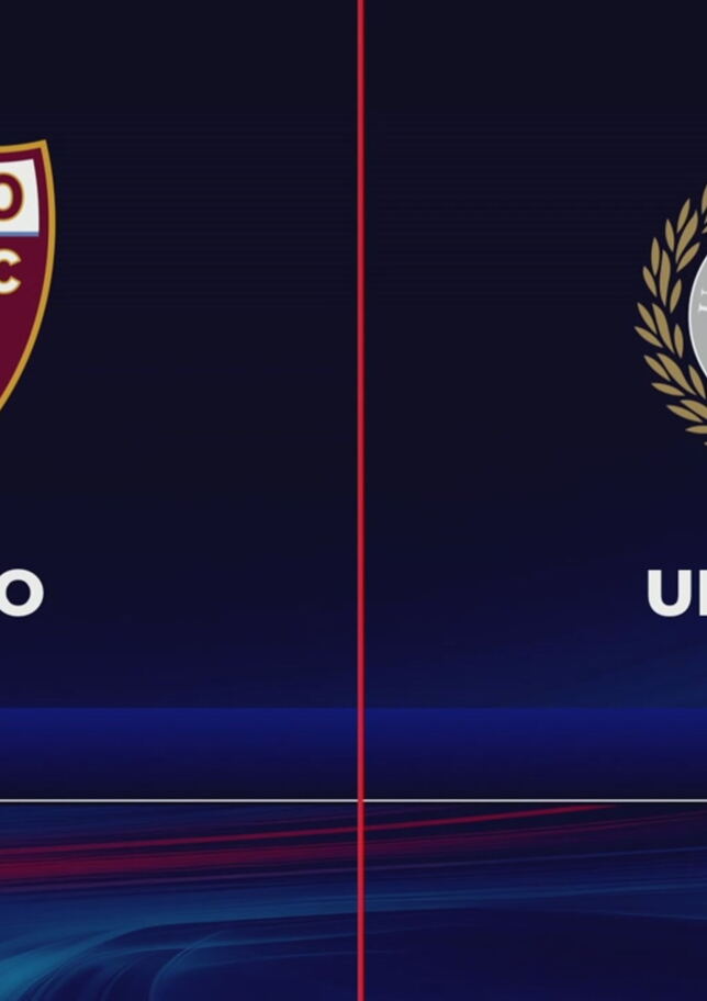Torino-Udinese 2-1: gli highlights